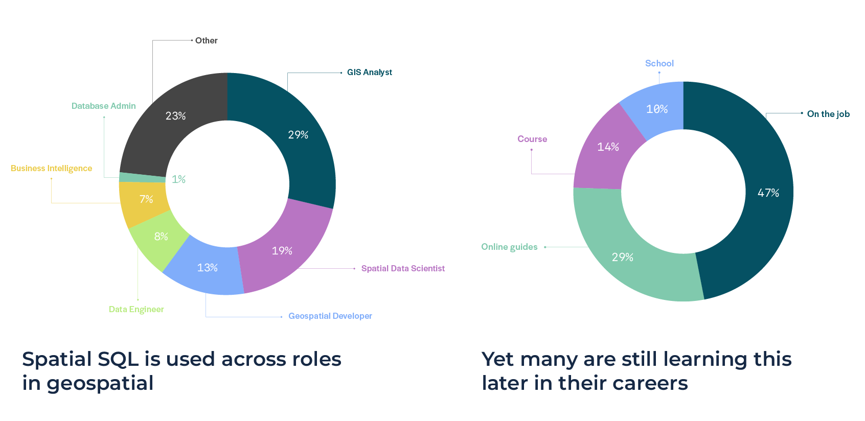 pie chart of users learning to use spatial sql