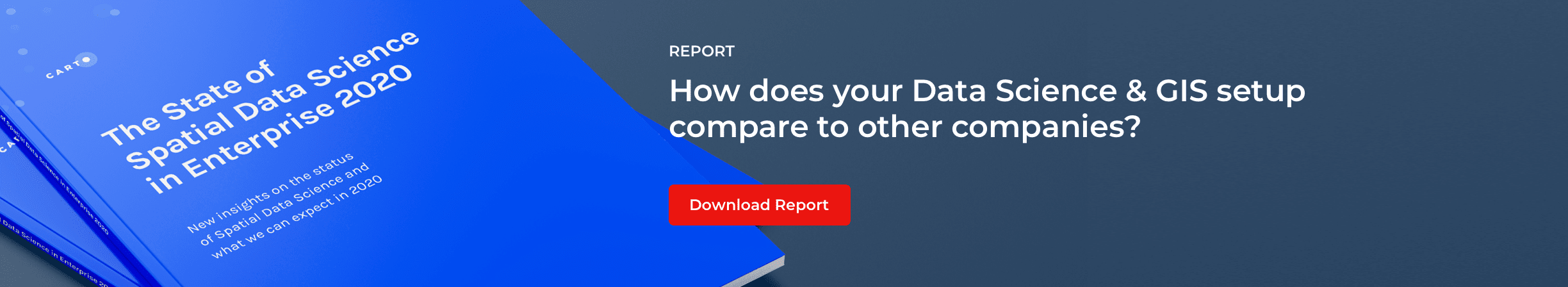 The State of Spatial Data Science in Enterprise 2020