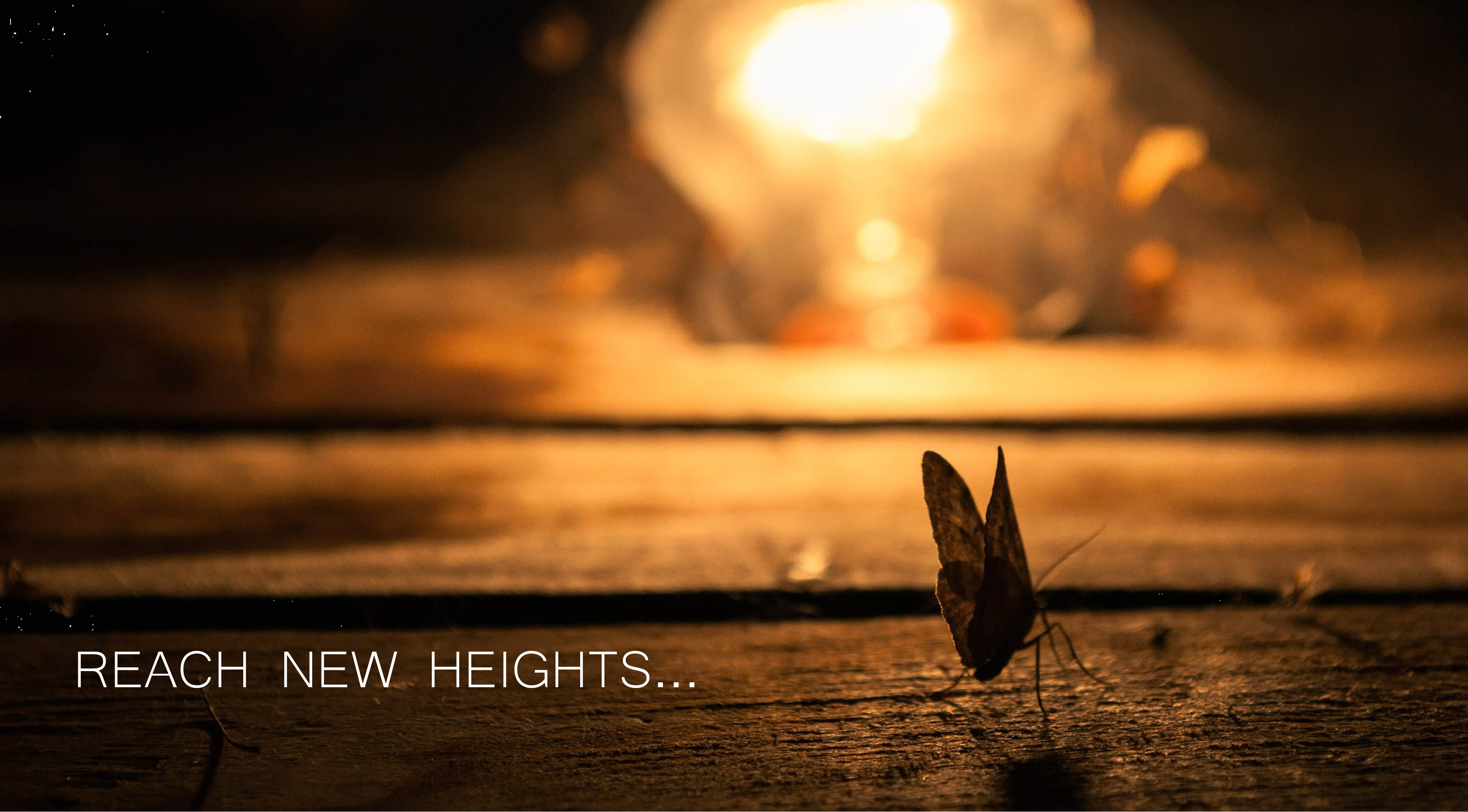 reach new heights