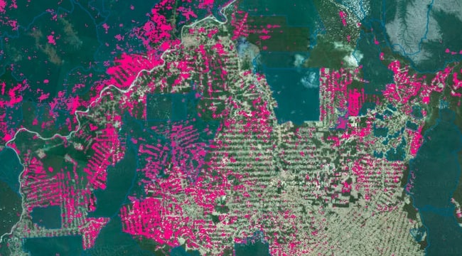 map of deforestation made by carto